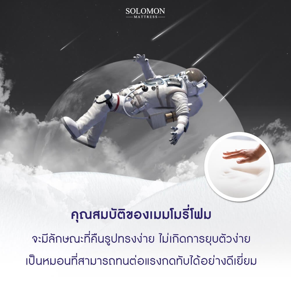 หมอนเมมโมรี่โฟม SOLOMON รุ่น POTTER PILLOW